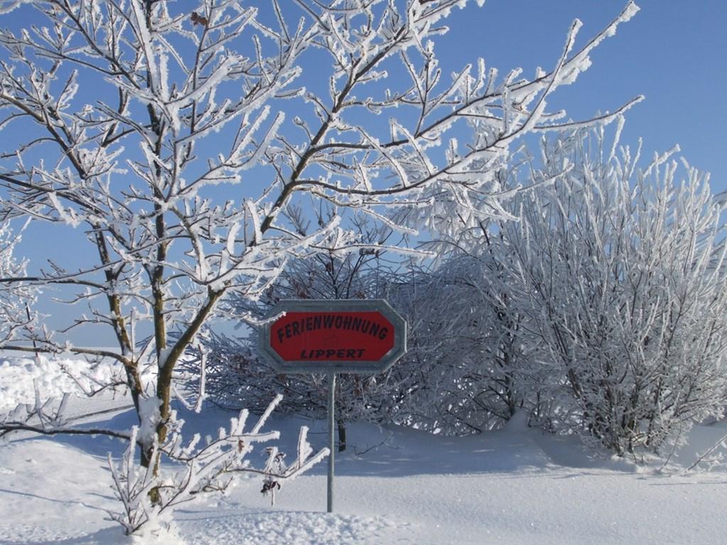 Ferienwohnung Lippert Pullenreuth エクステリア 写真